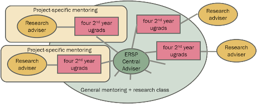 mentoring organization